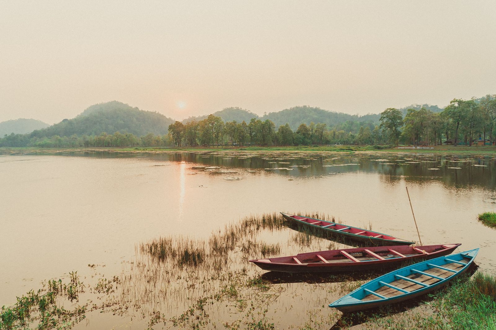 Three wooden rowing boats pulled up on a reedy shore at sunset in Assam, with low green hills beyond